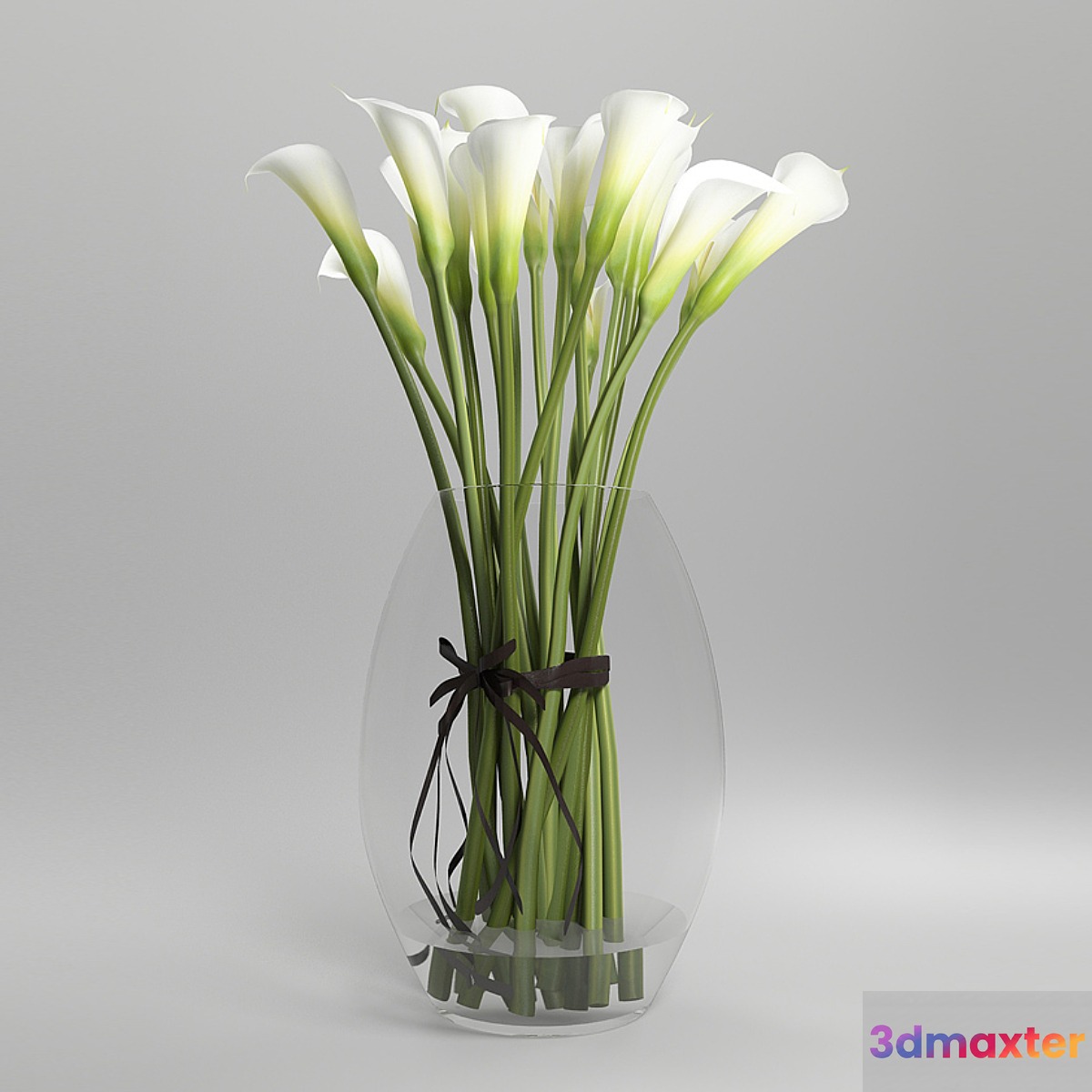 Callas 3D Max