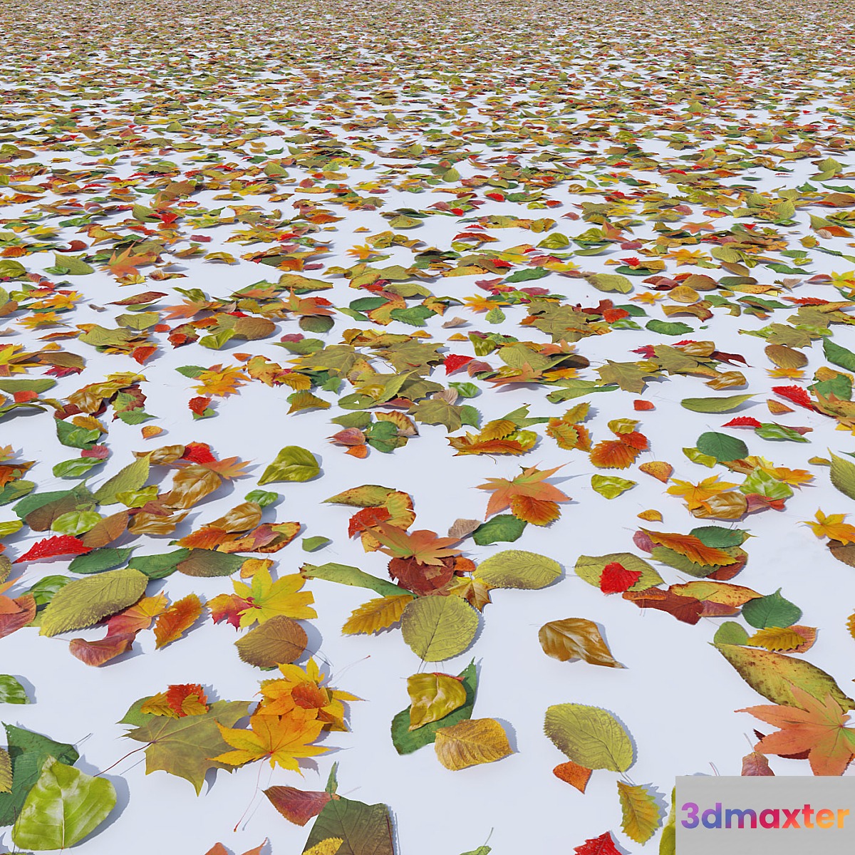 Autumn leaves - No.2