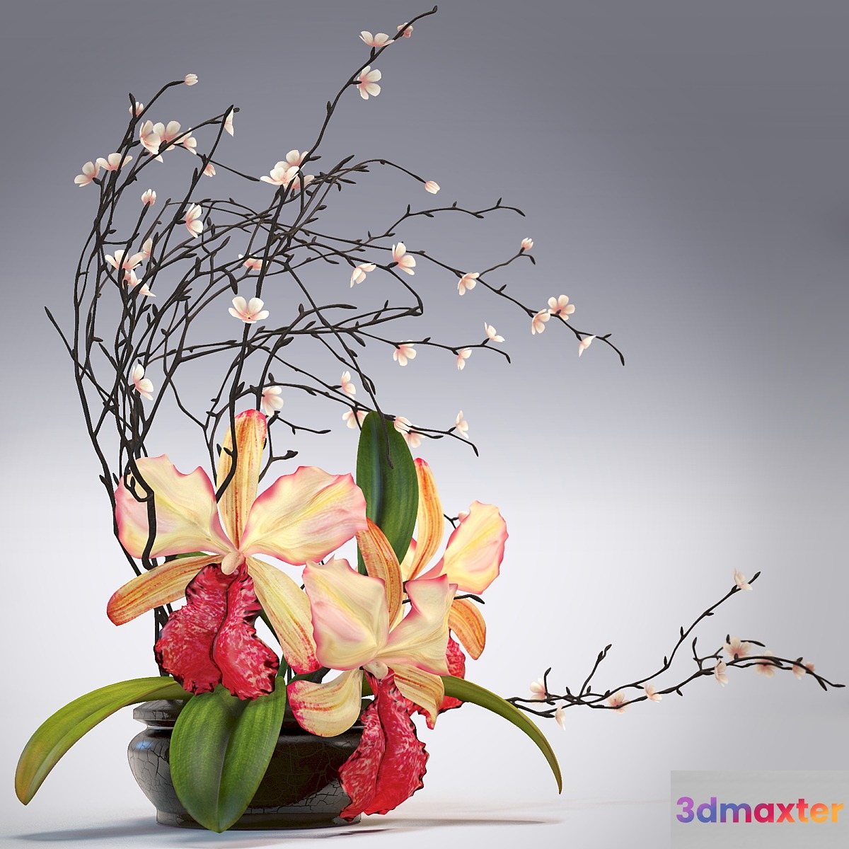 Arrangement of orchids 3D Max