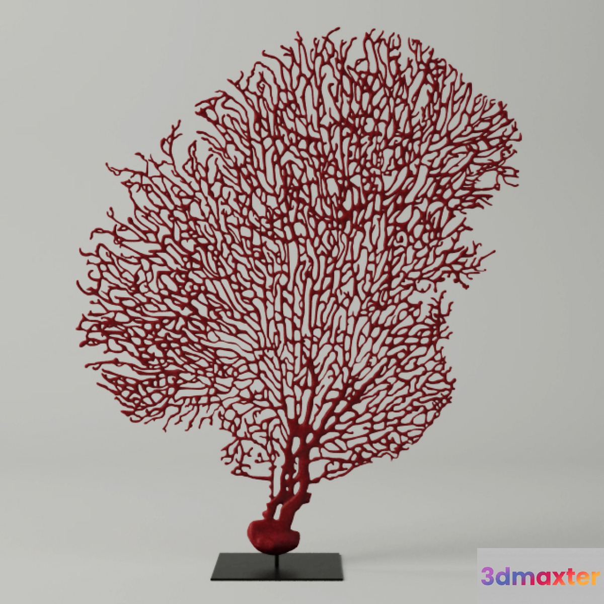 Red Gorgonaria Decoration