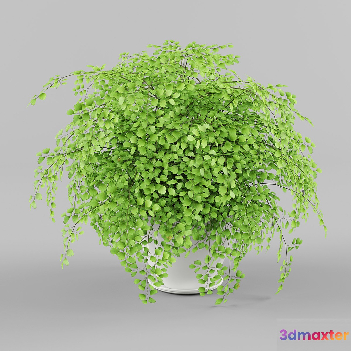 Houseplant 3D Max