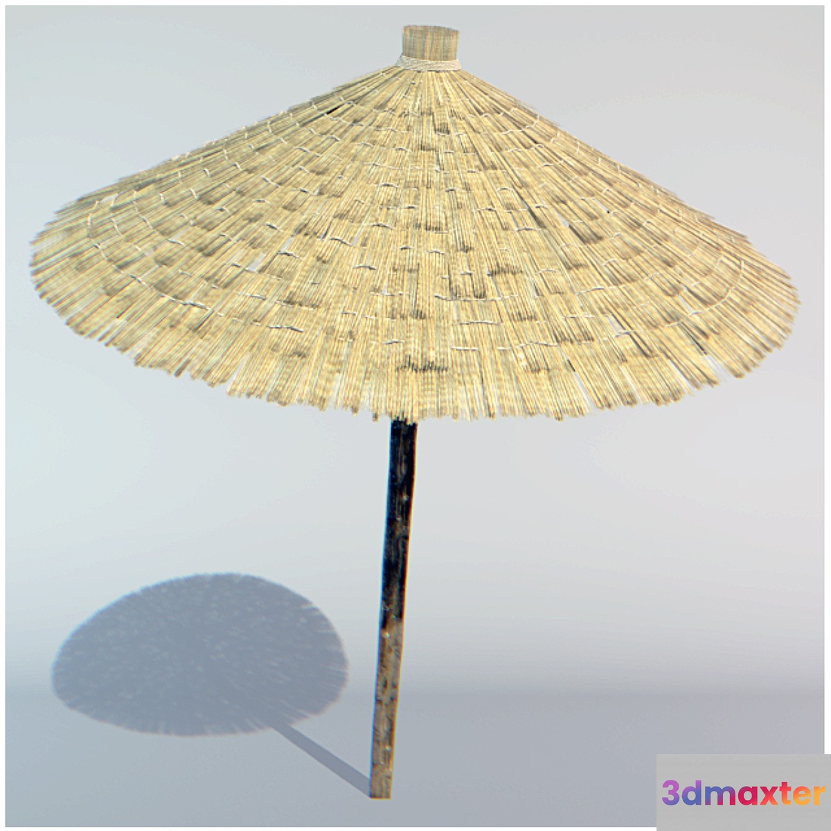 parasol made of straw 3D Max
