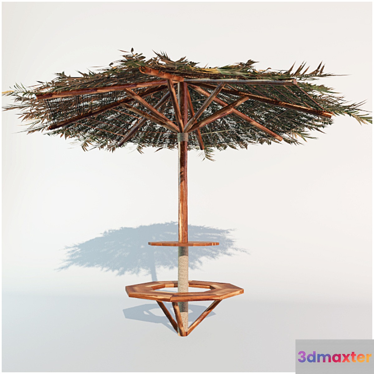parasol from the leaves of cane 3D Max