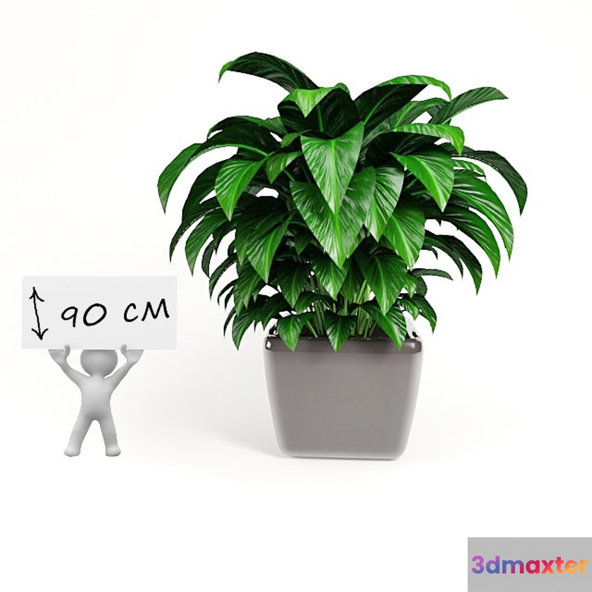 plant 3D Max