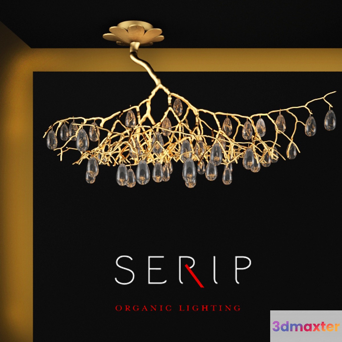 SERIP FASCINIUM - No.2