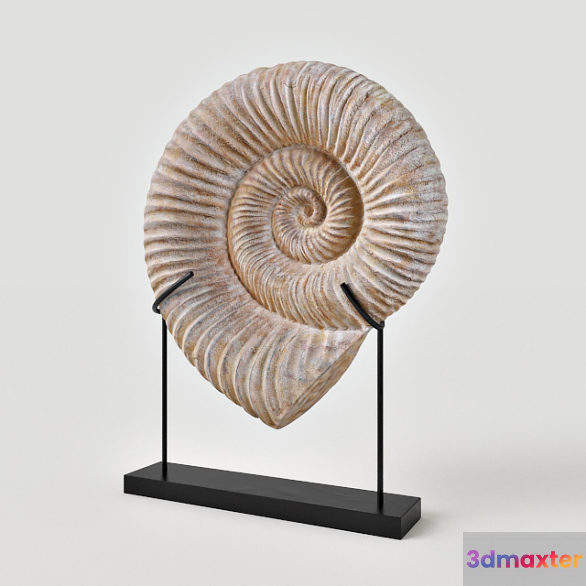 Kaleho Shell Sculpture 3D Max