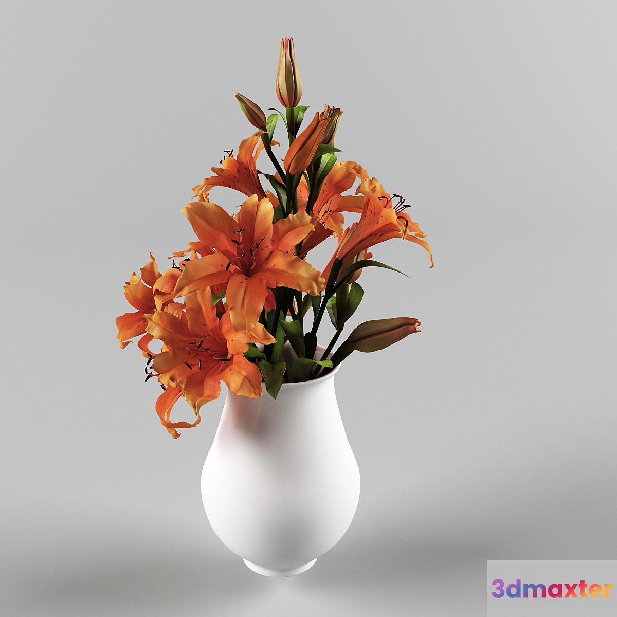 lily 3D Max