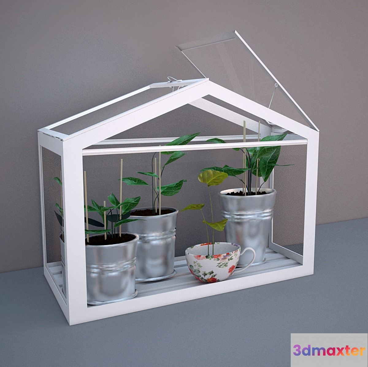 Soccer IKEA Greenhouse 3D Max
