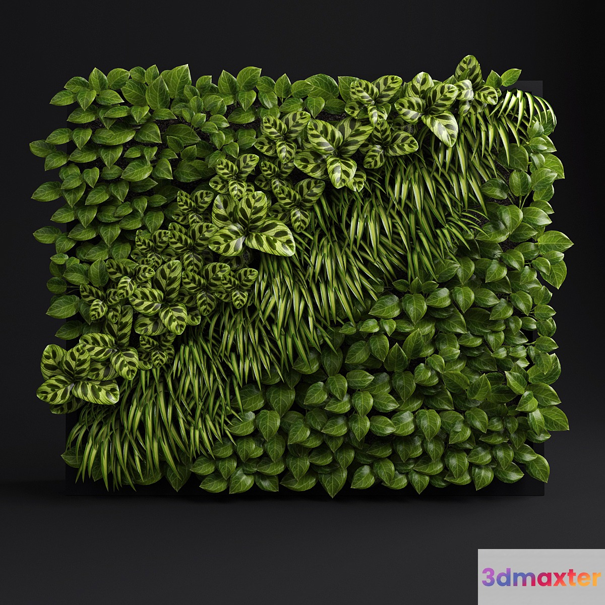 Green wall 2 - No.6