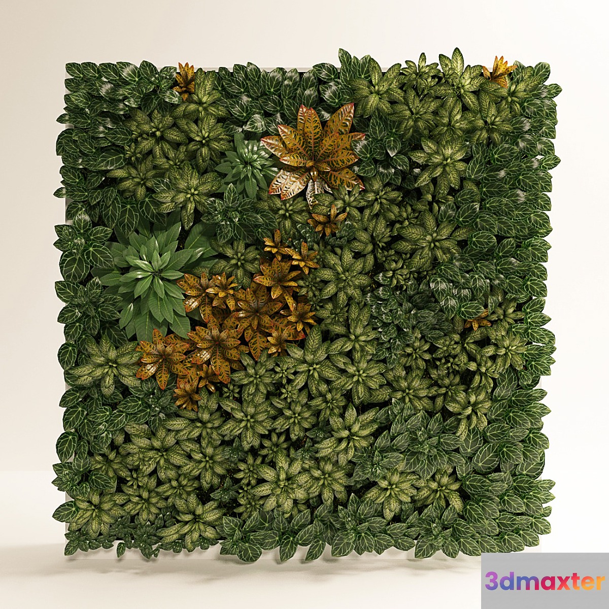 Fitostena fitomodul of tropical plants 3D Max