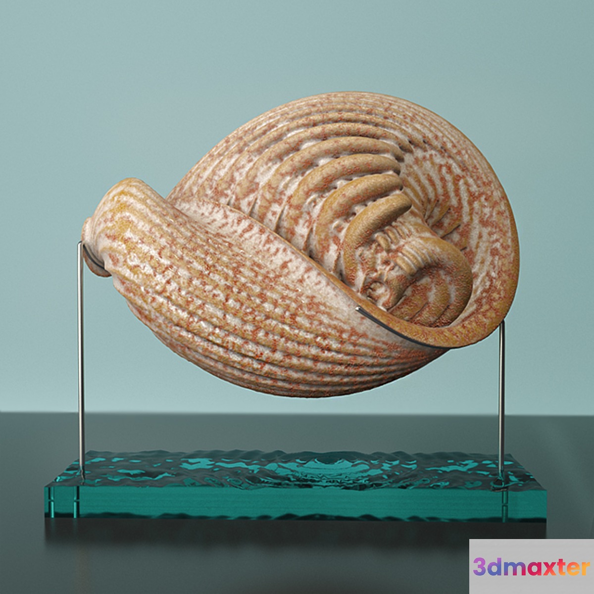 «Martian Seashell» 3D Max