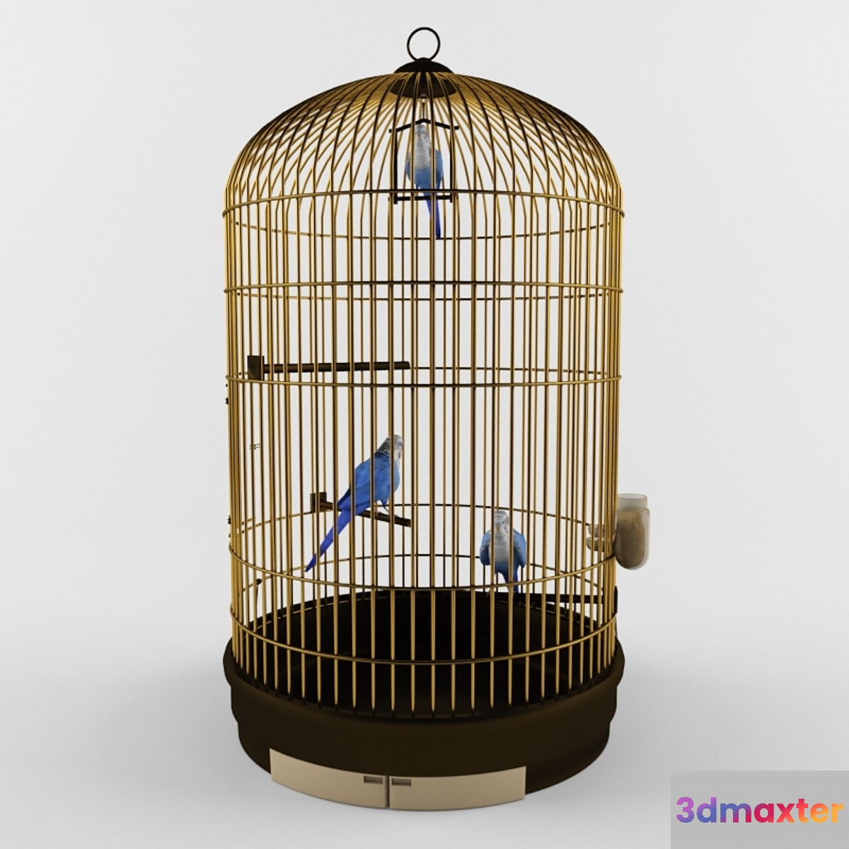 Cage for parrots 3D Max