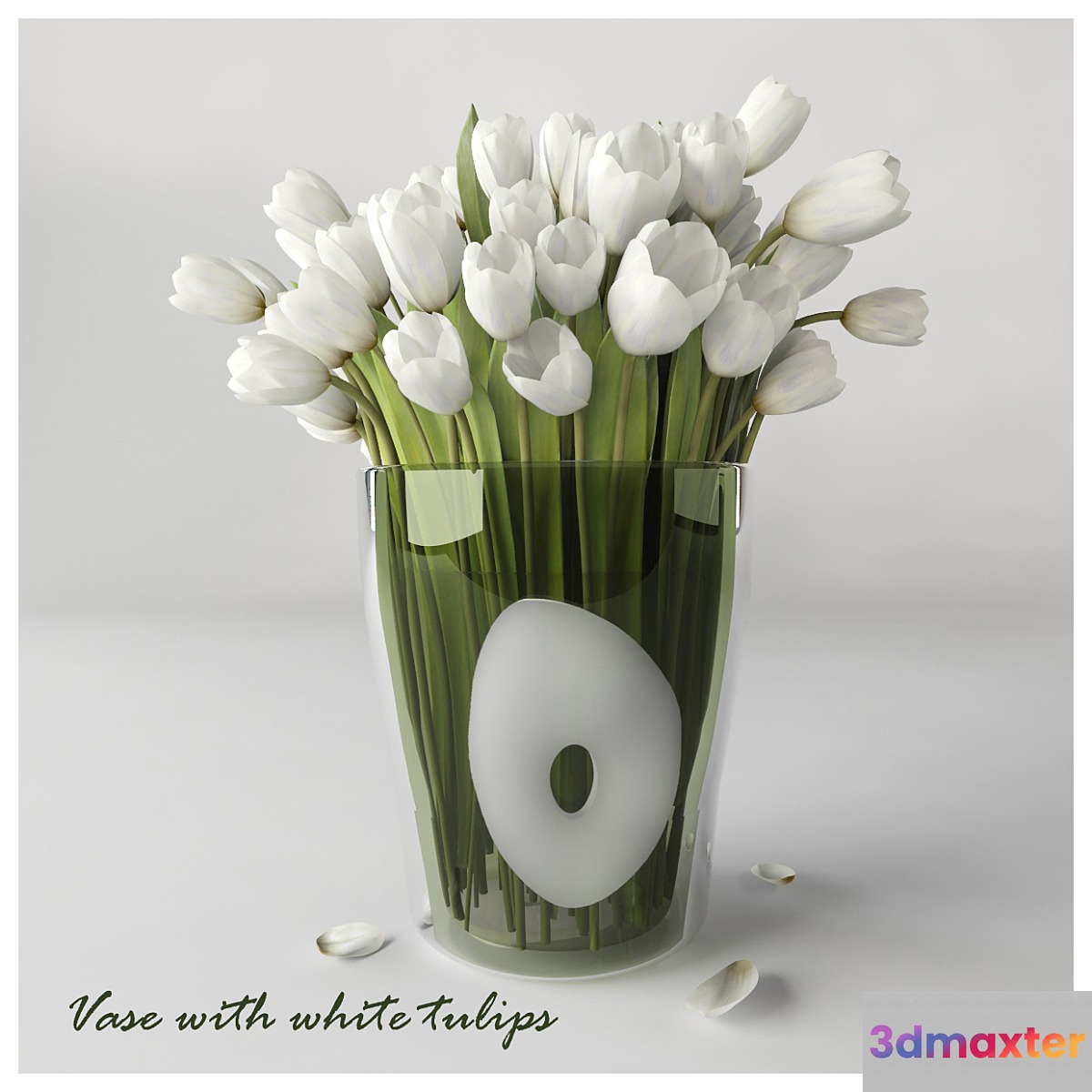 Vase with white tulips 3D Max