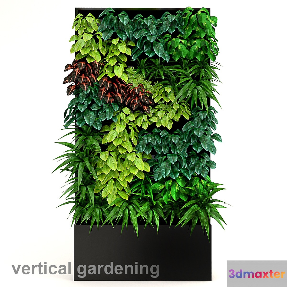 Vertical gardening 2 - No.3
