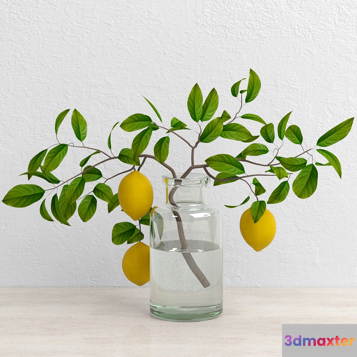 Lemons on branch - No.2