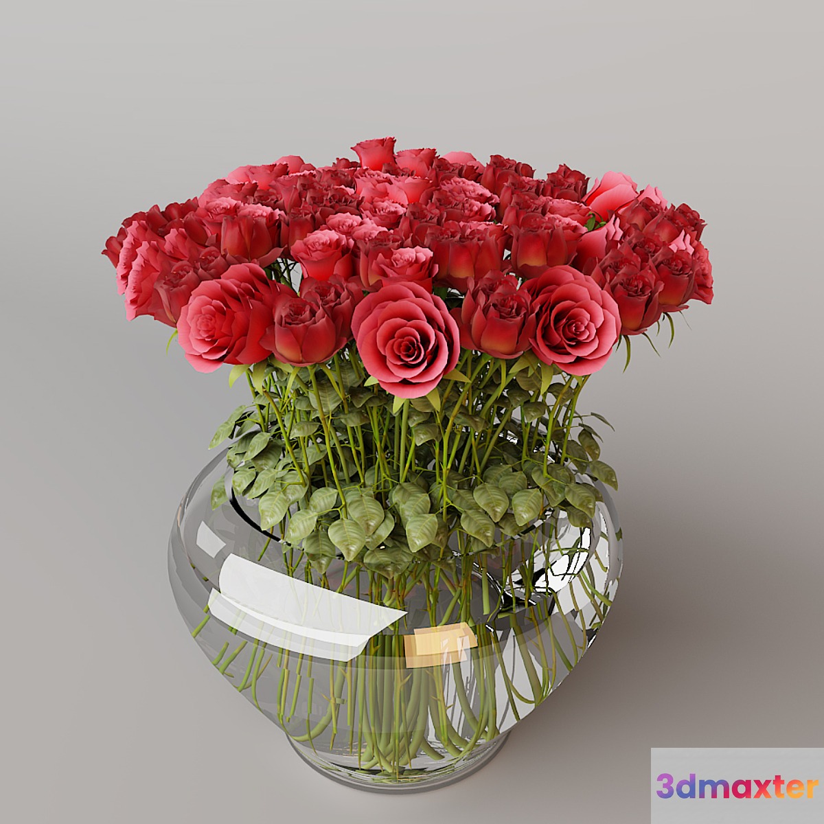 ROSES IN VASE