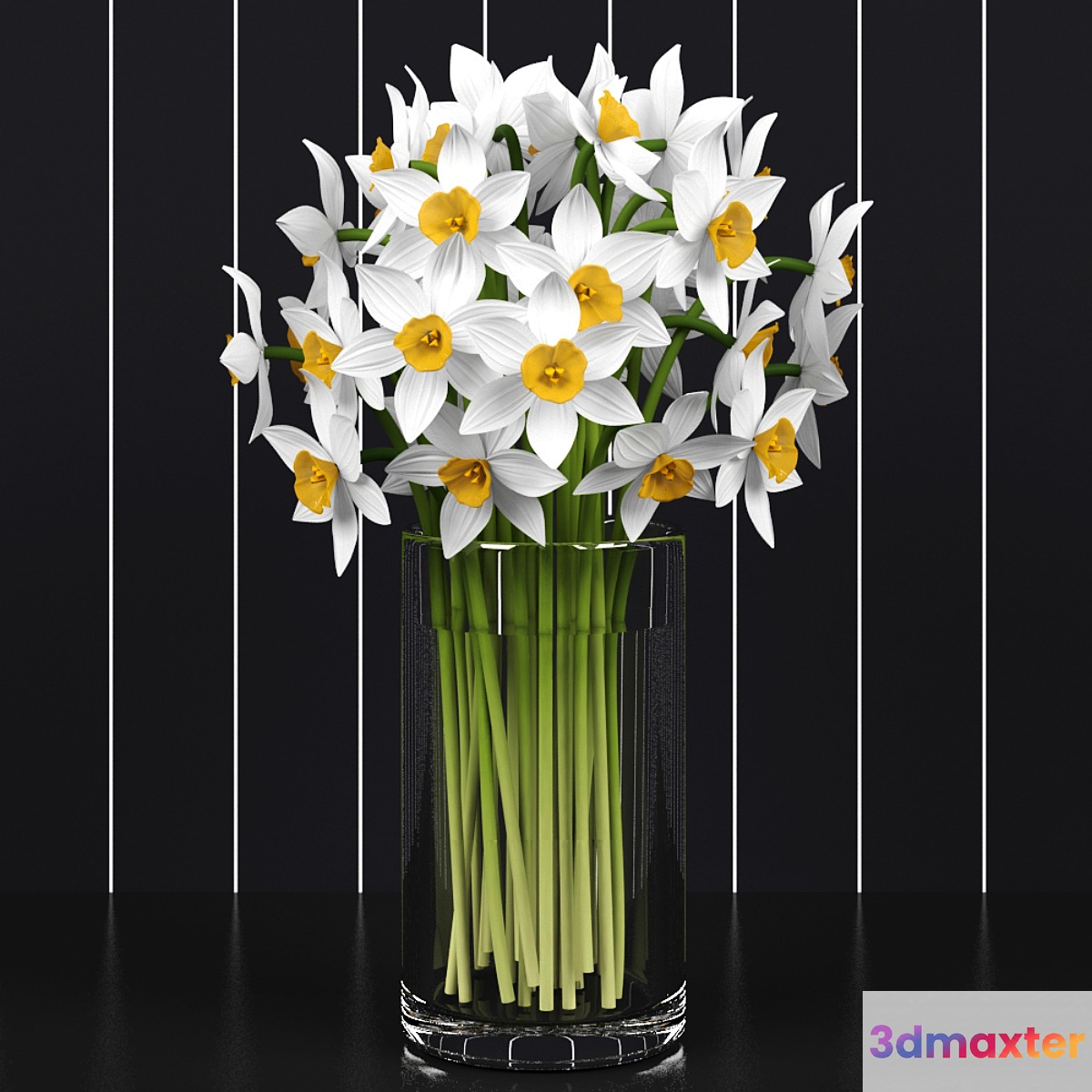Daffodils _ Daffodils