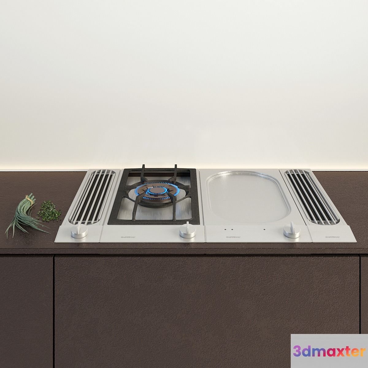Gaggenau vario