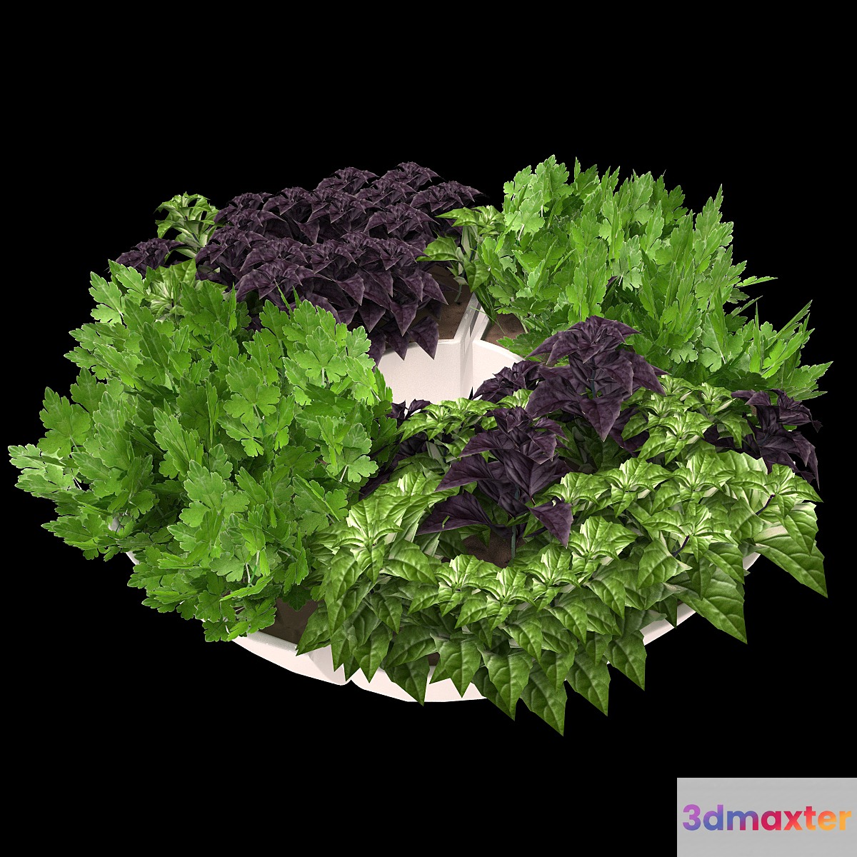 Decor with herbs 3D Max