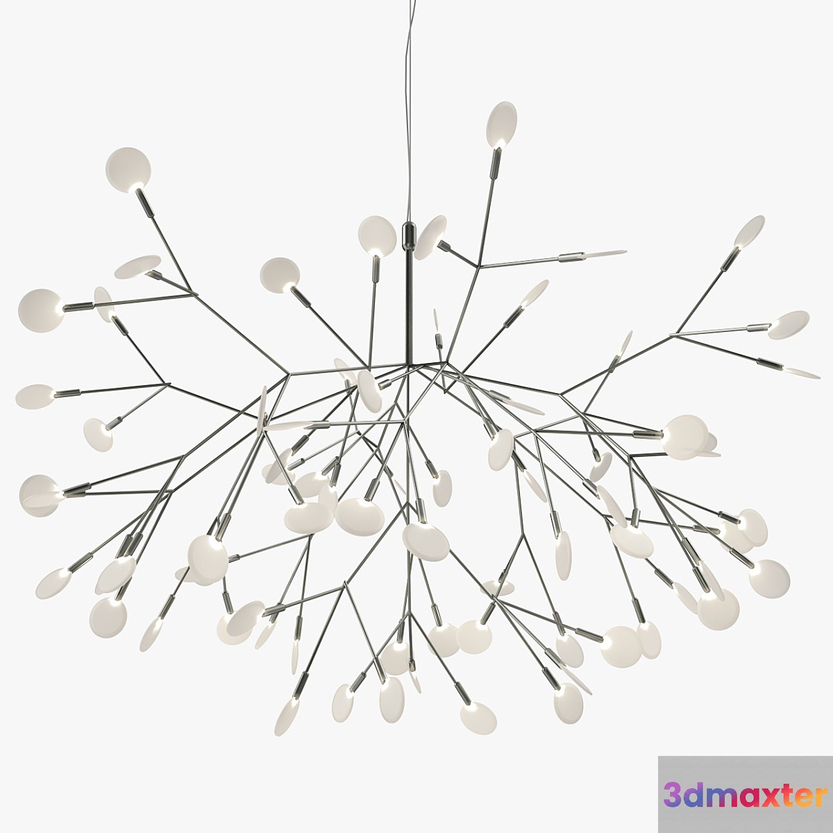 Heracleum II 3D Max