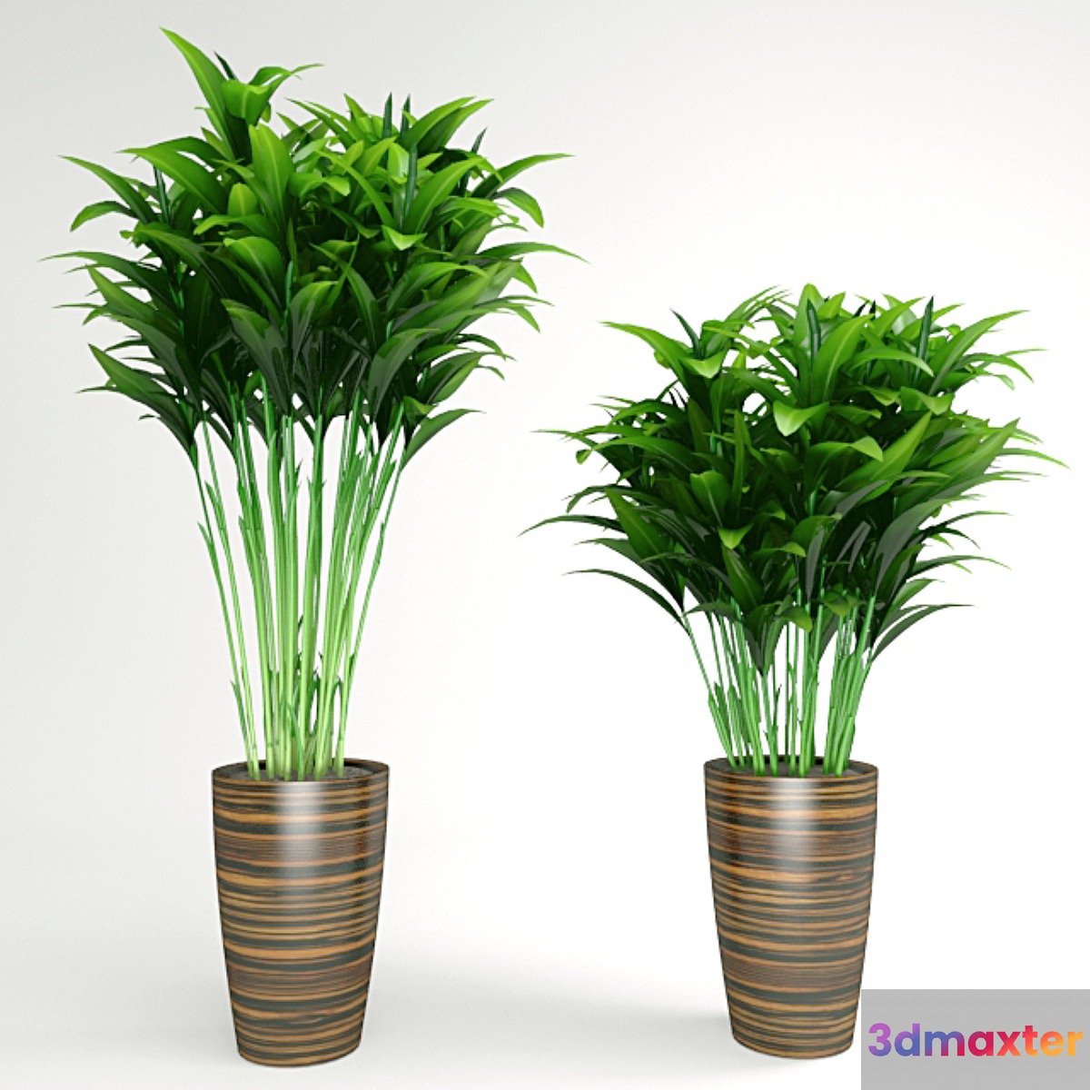 plant - No.20