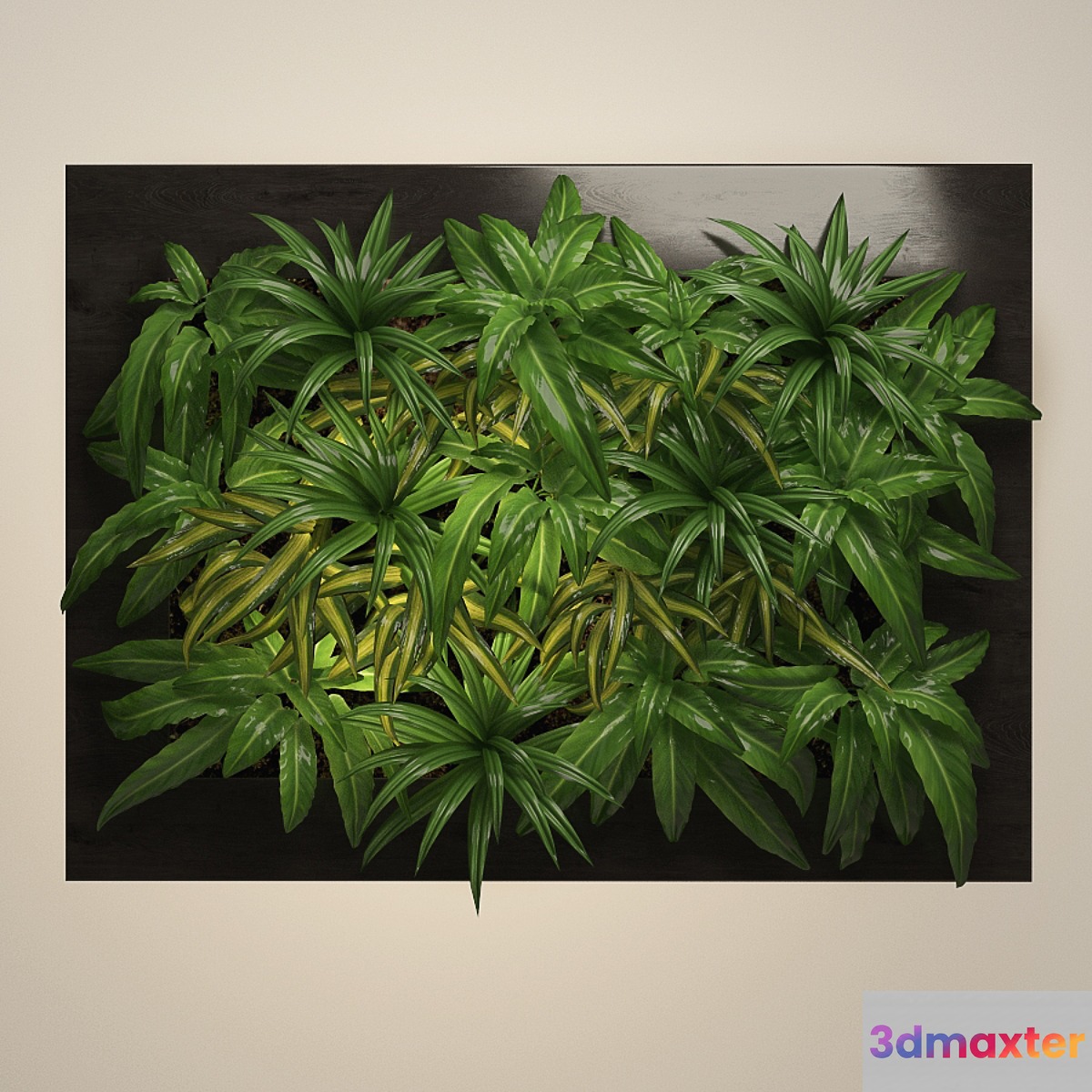 Fitowall_5 3D Max