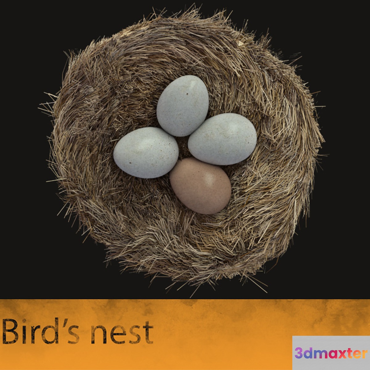 Bird's nest