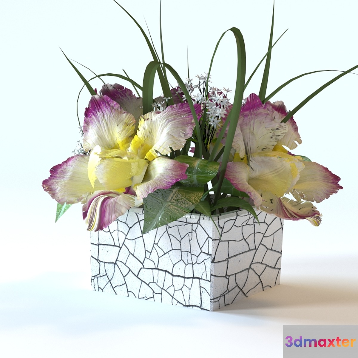 flowers in a square vase - No.3