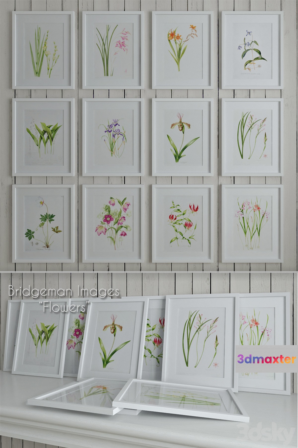 Bridgeman Images 