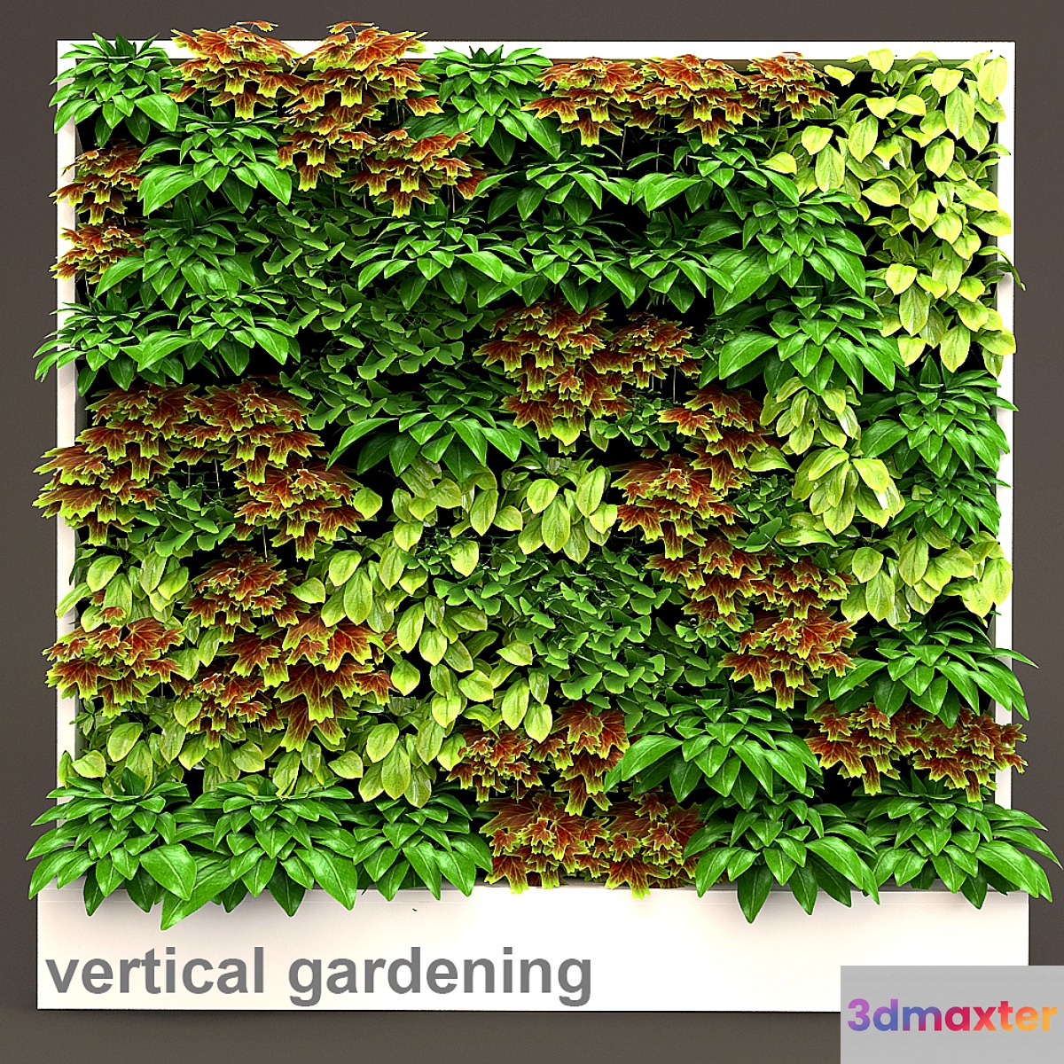 Vertical gardening 3 3D Max