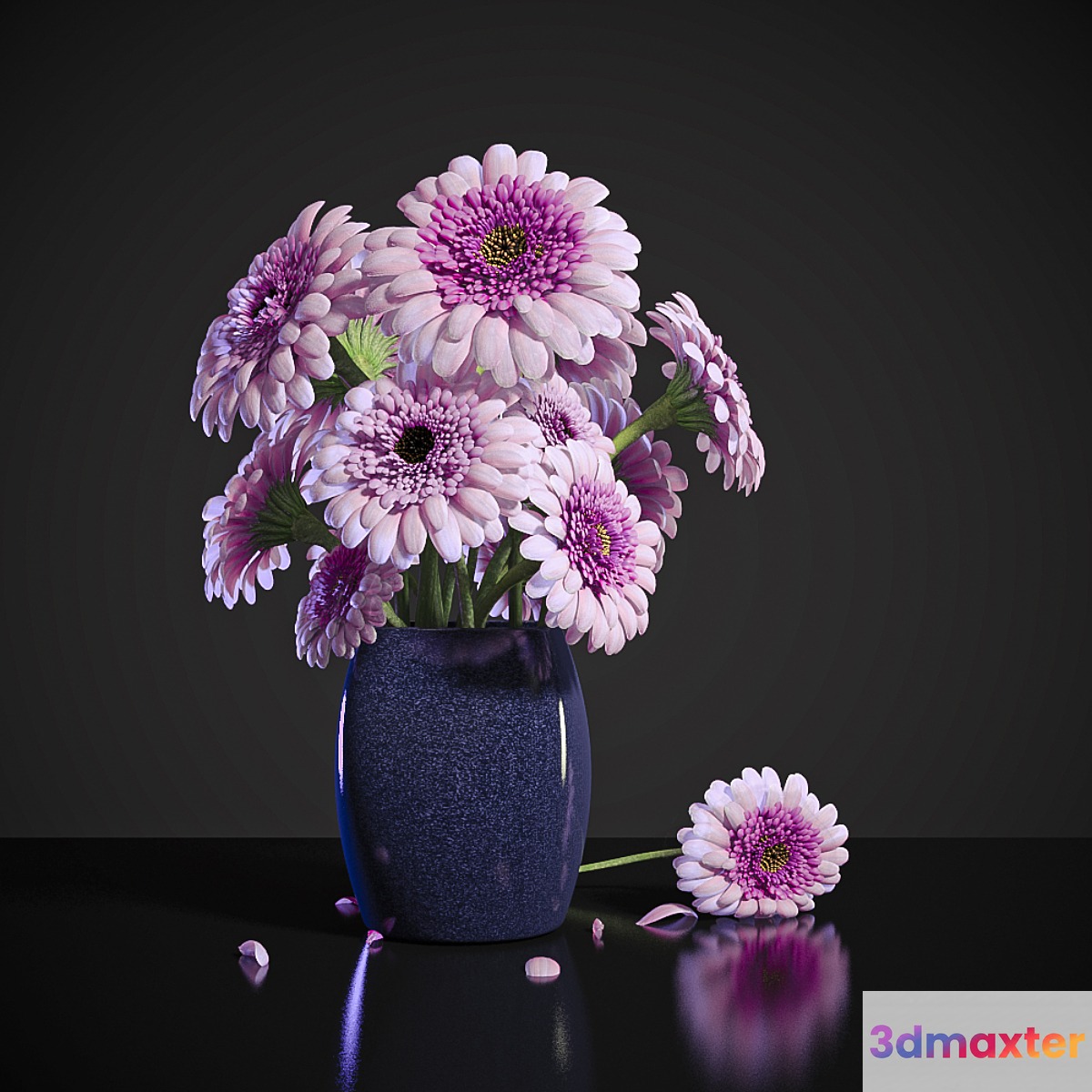 PINK DEW GERBERA 3D Max