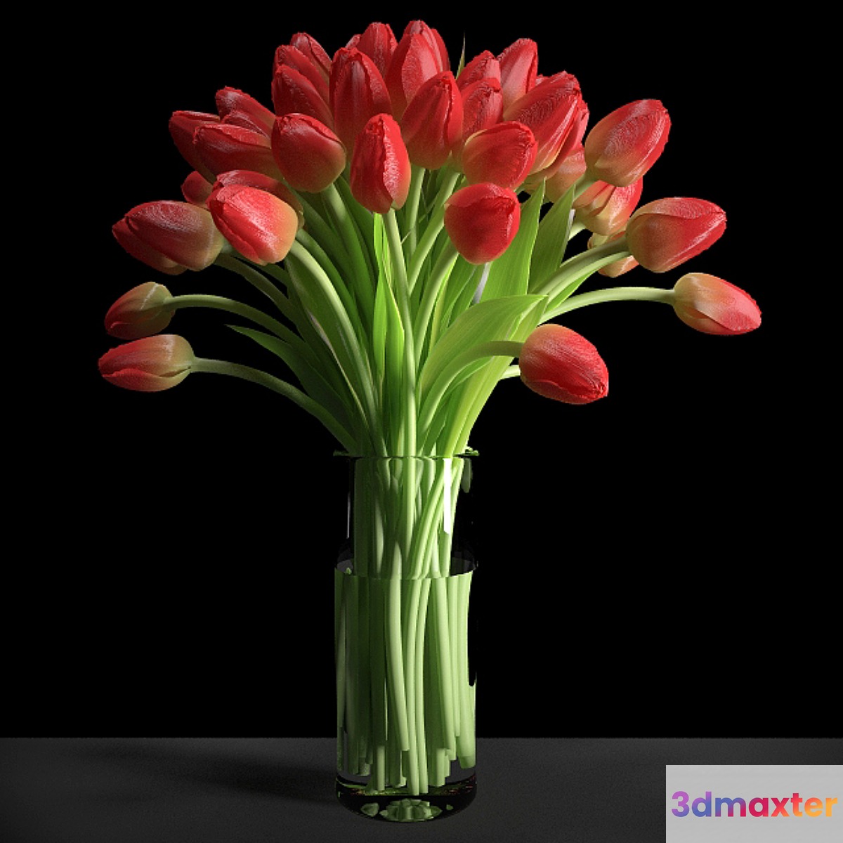 Red Tulips _ Red tulips - No.2