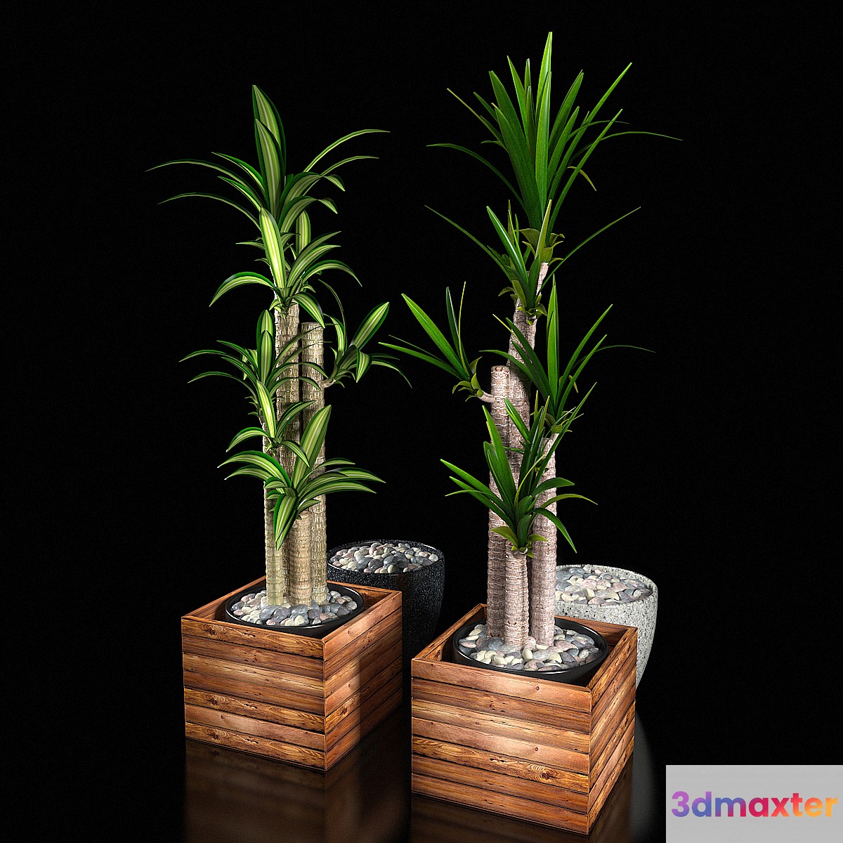PLANTS VOL 1 - No.2