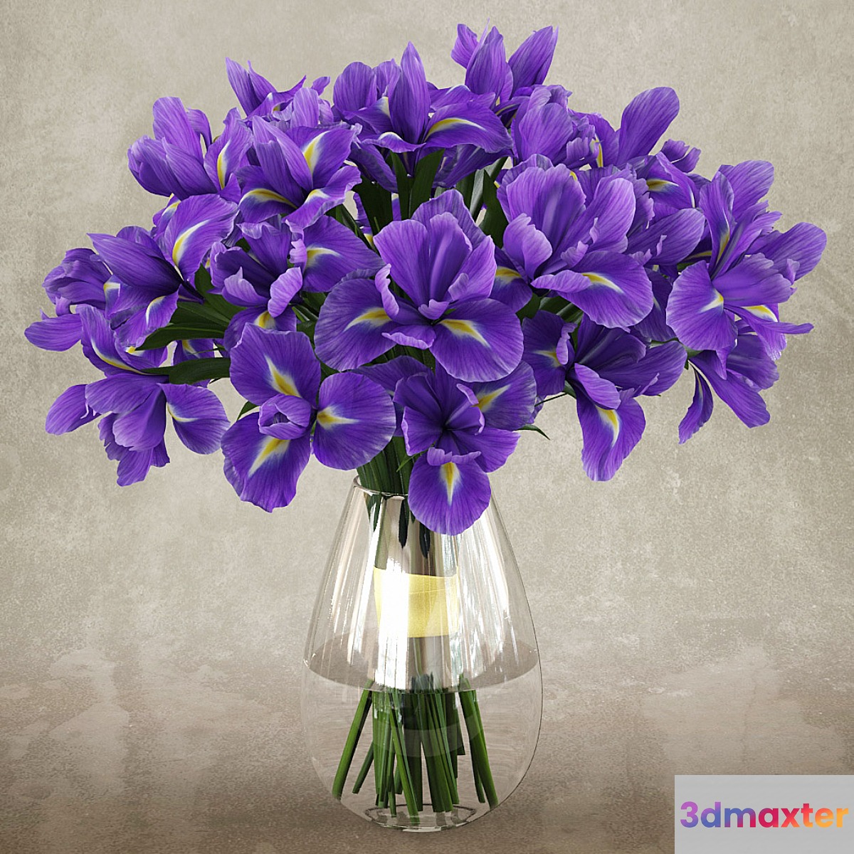 Irises 1 - No.4