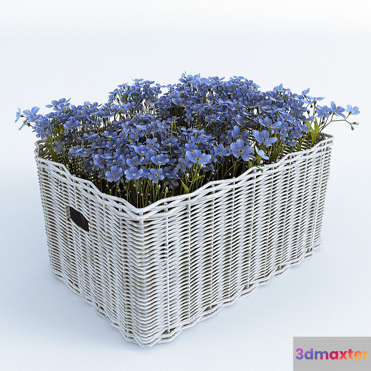 Basket with Forget-Me - No.4