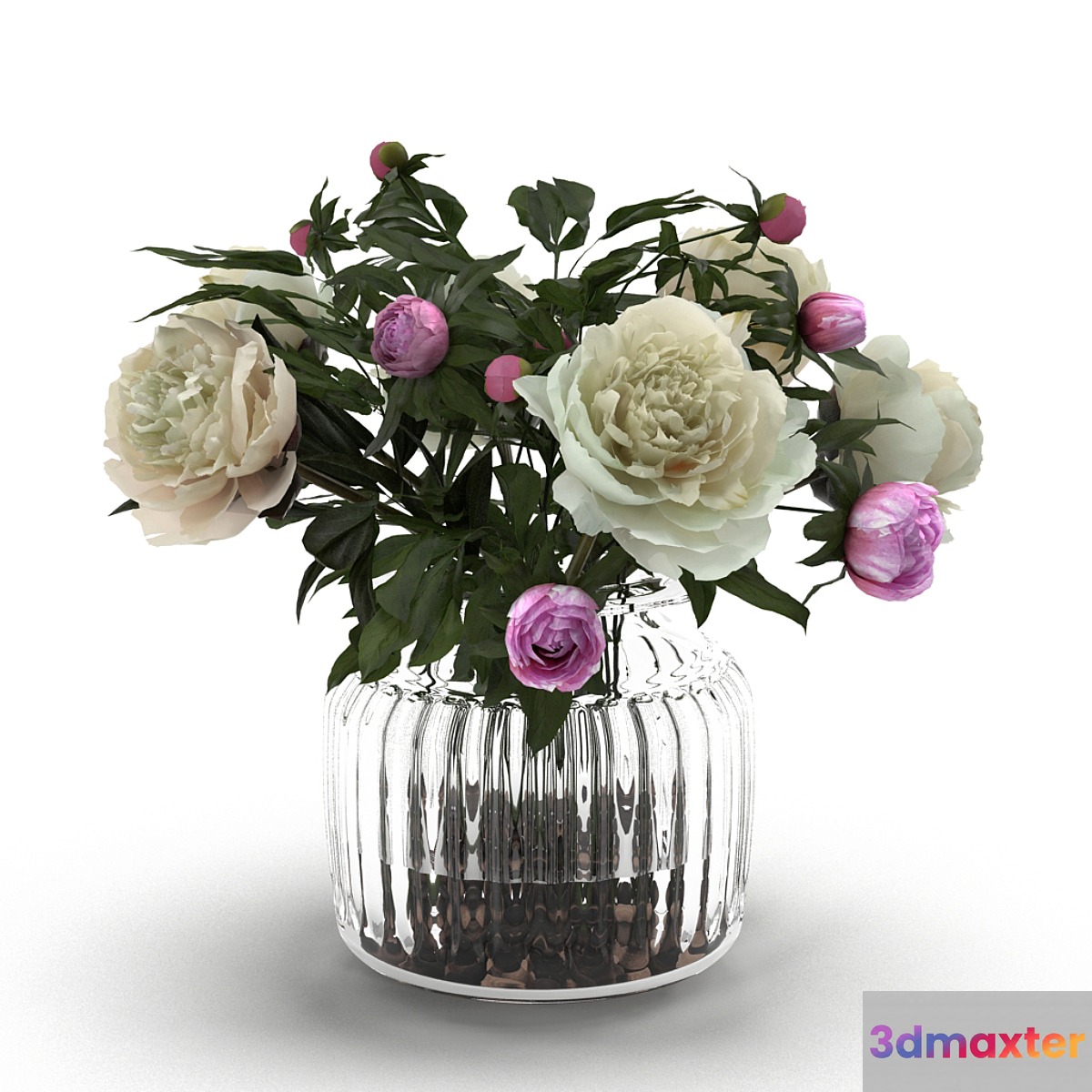 Cream Peonies in ribbed glass vase - No.2