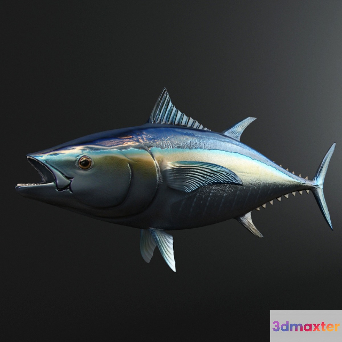 Tuna Fish 3D Max