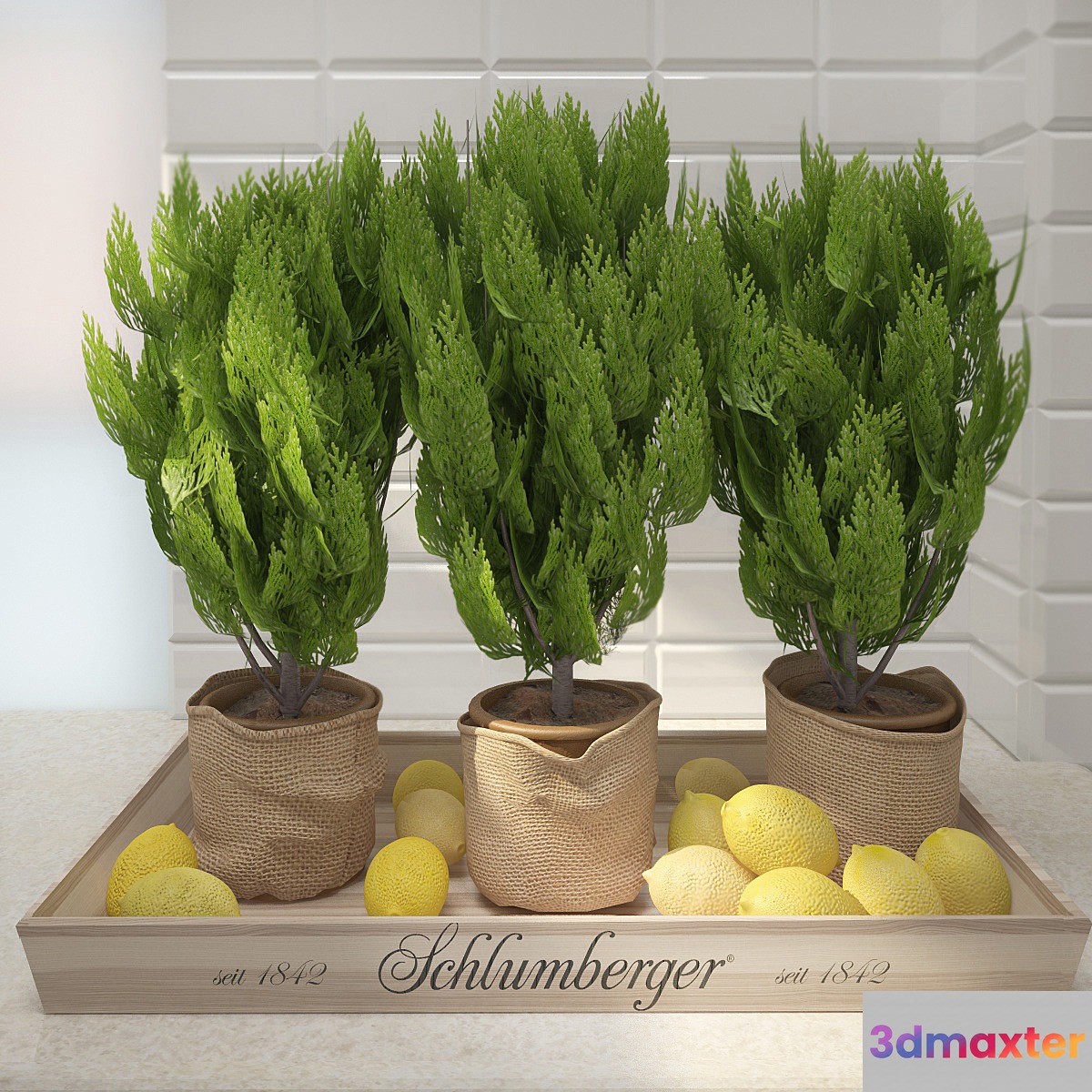 Decor with lemon 3D Max