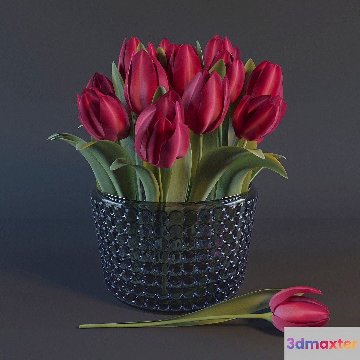 Red Tulips - No.3