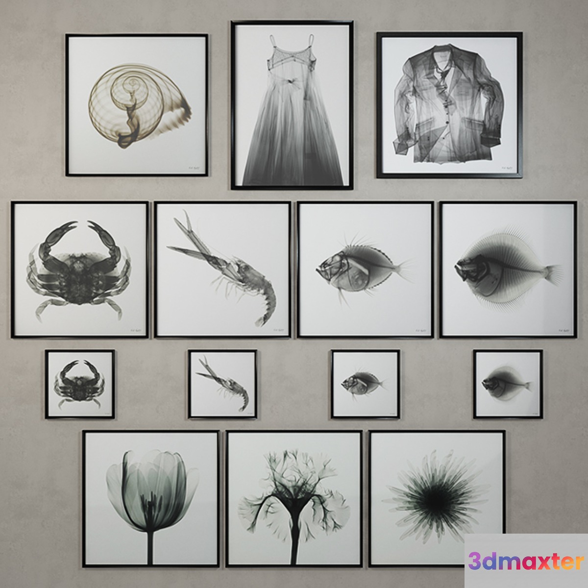 Restoration Hardware Nick Veasey x-ray photography 3D Max