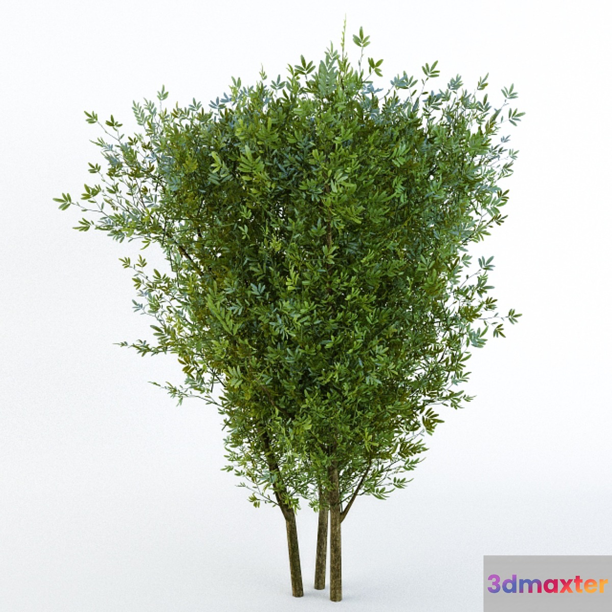 Bush 3D Max