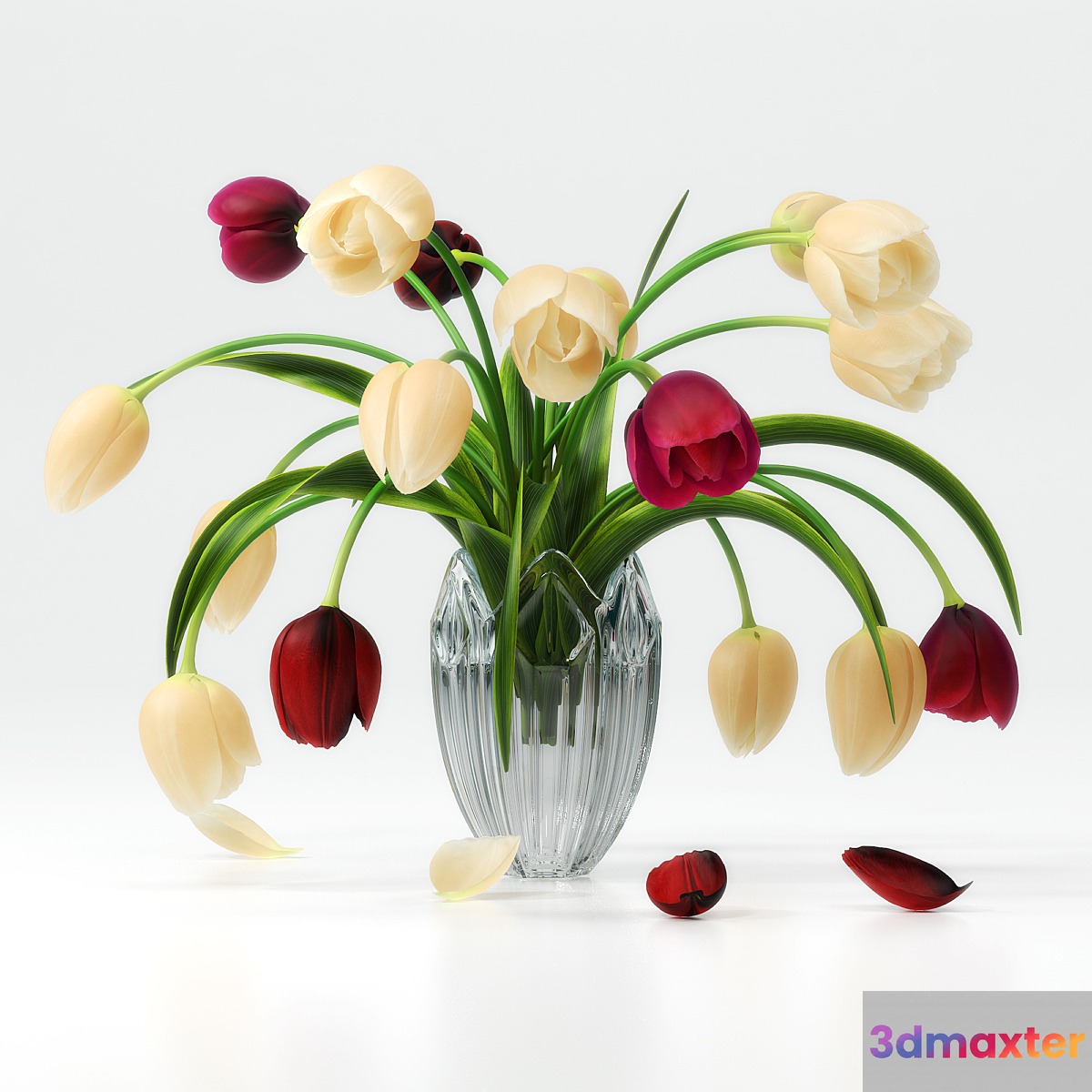 TULIP 1