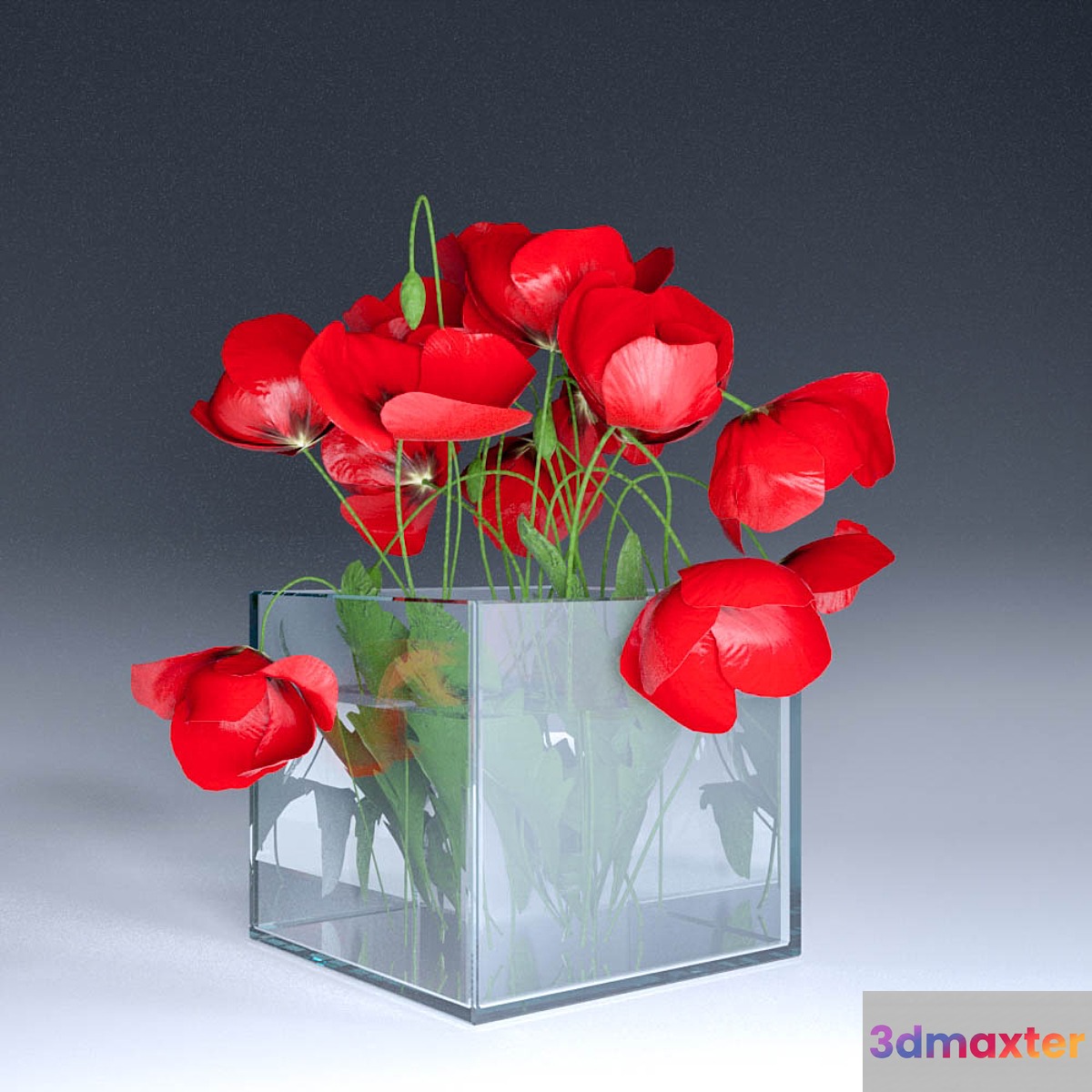 Poppies - No.2 Poppies - No.2