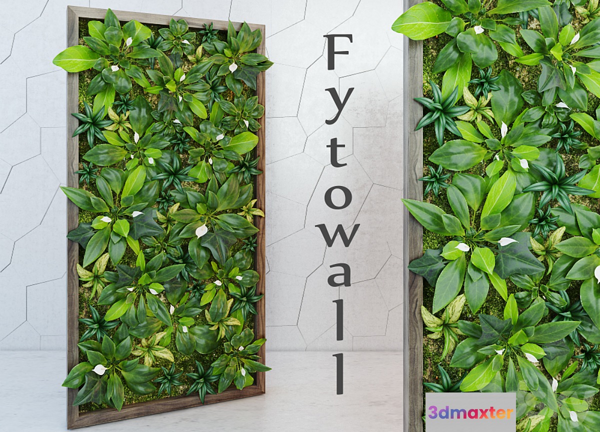 Fytowall Spatifilum
