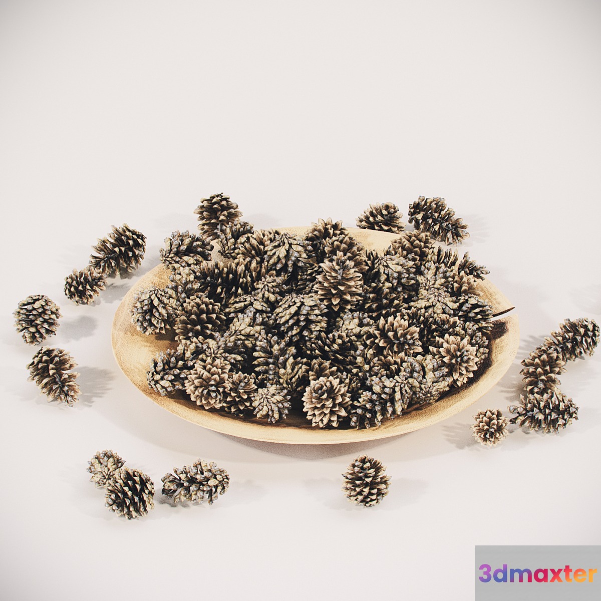 Plate with pine cones