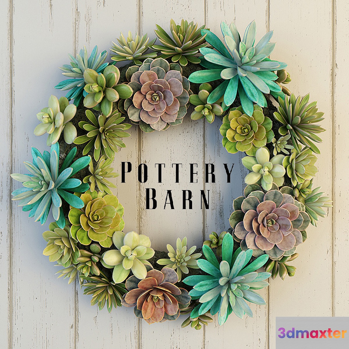 Pottery Barn Succulent Wreath - No.2
