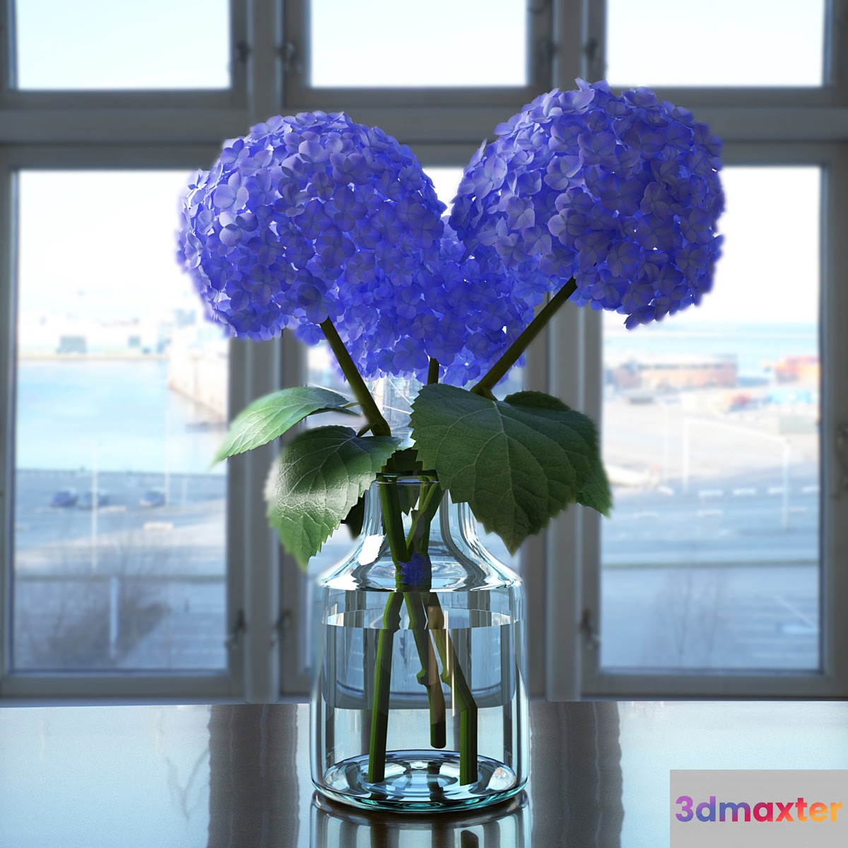 Hydrangea - No.11