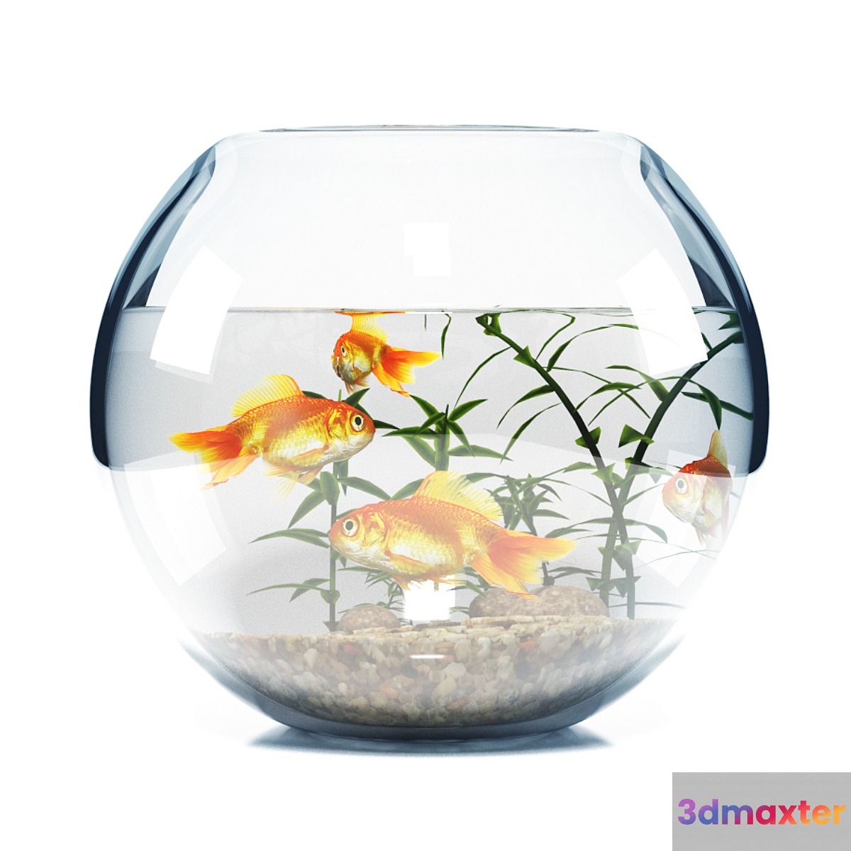 BOWL AQUARIUM