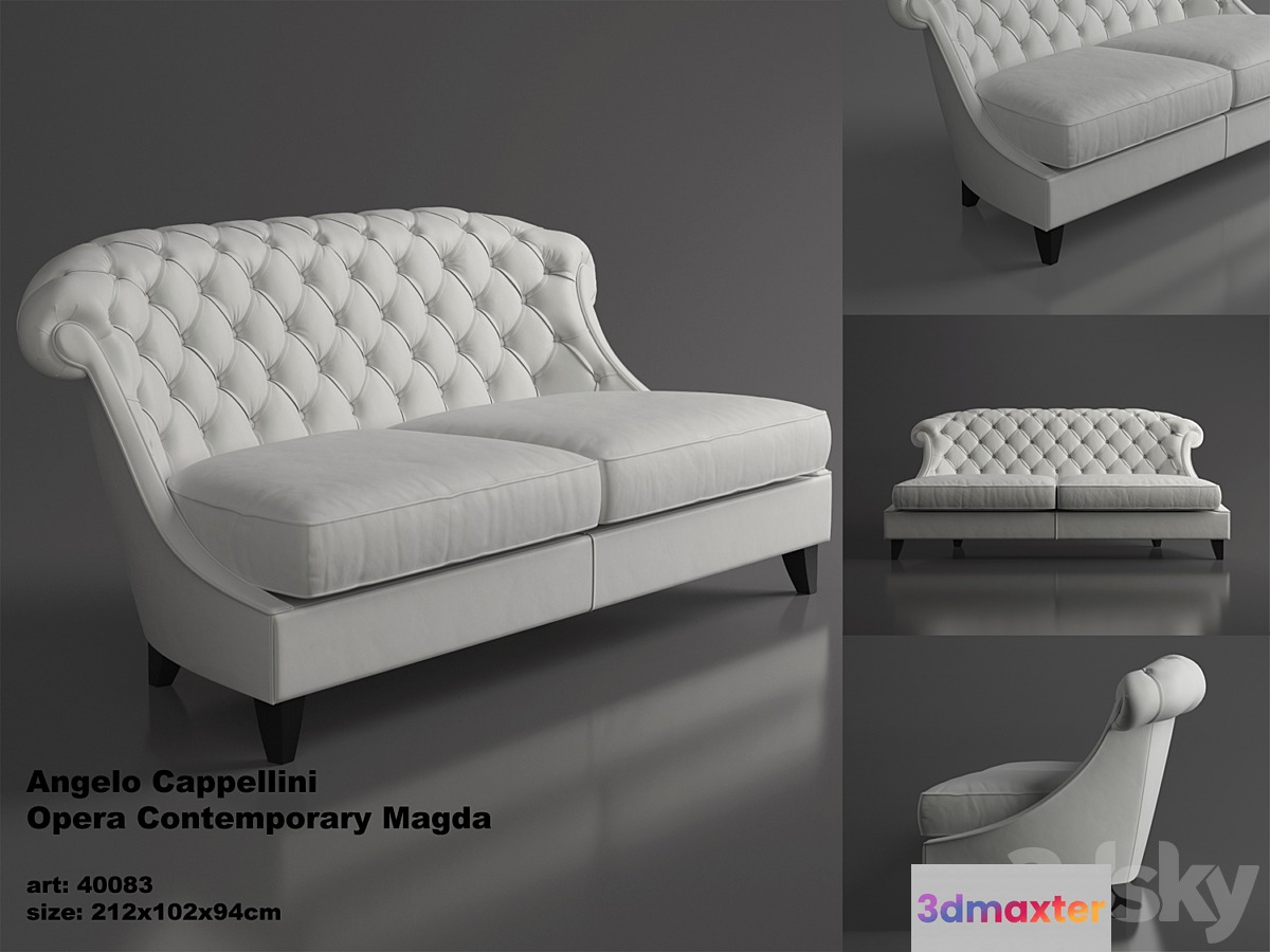 Leather sofas Angelo Cappellini Magda