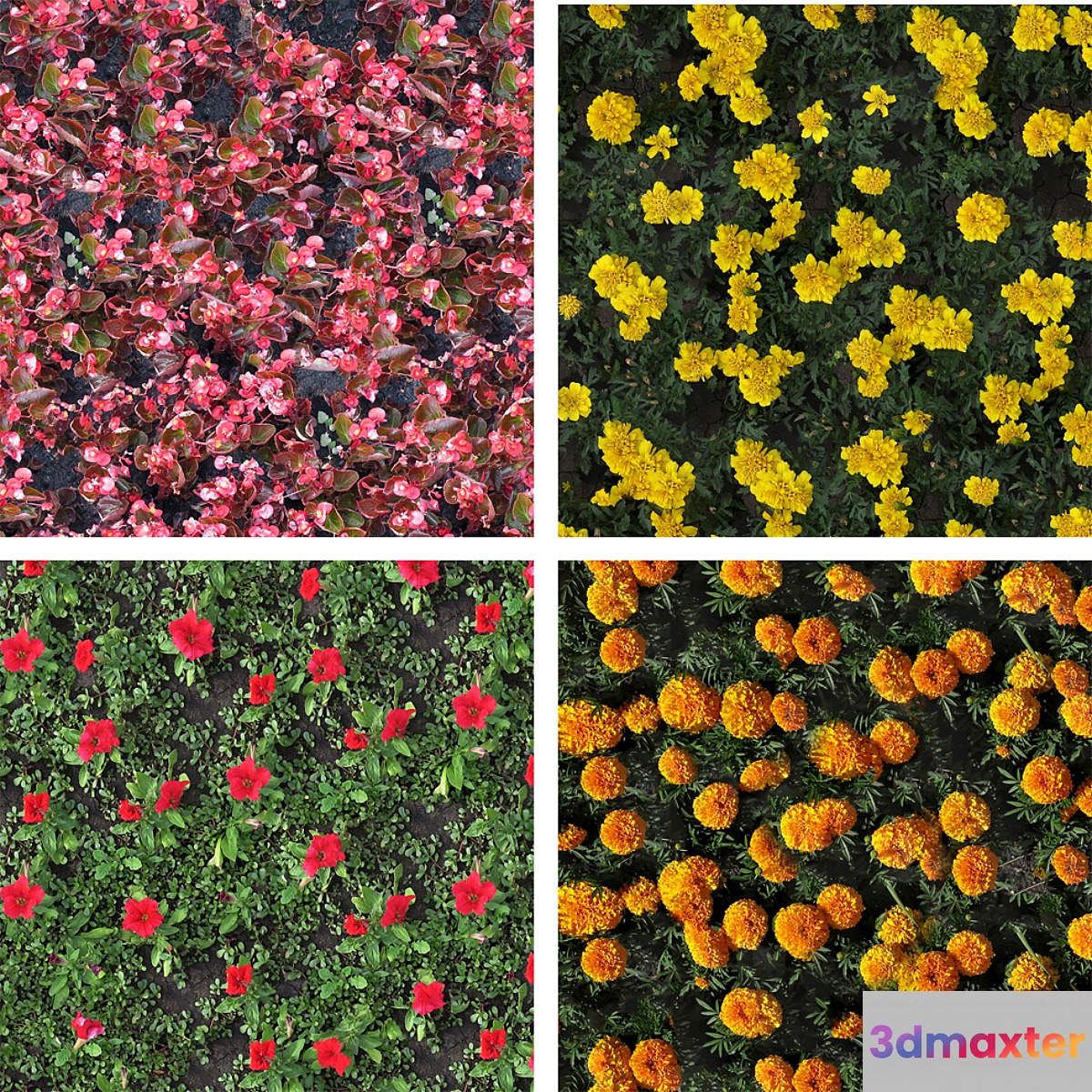 texture flower beds 3D Max